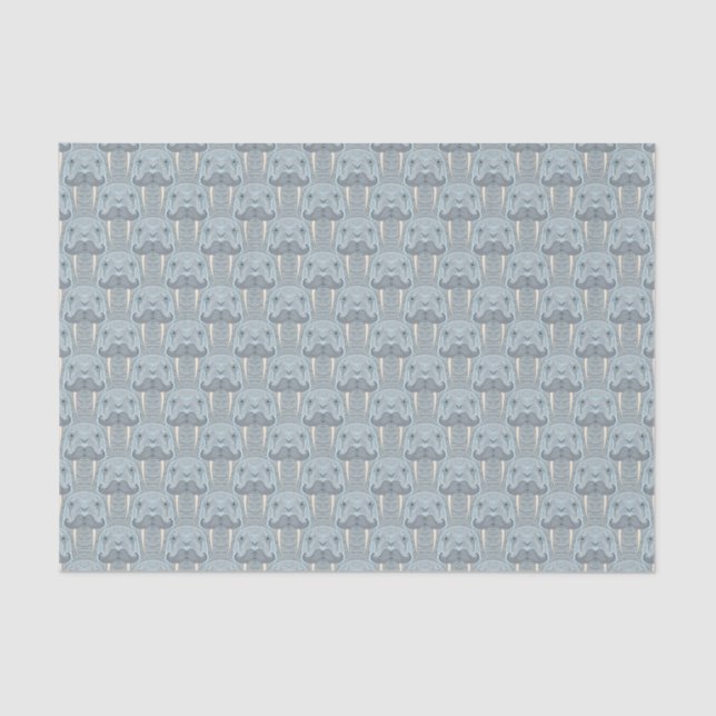 Papier Mousseline Motif de moustache de morse (Recto)