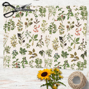Papier Mousseline Motif de plante verte d'herbier vintage