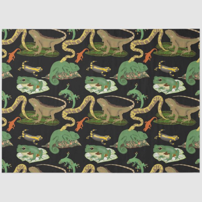 Papier Mousseline Motif de reptiles, lézards et amphibiens (Recto)