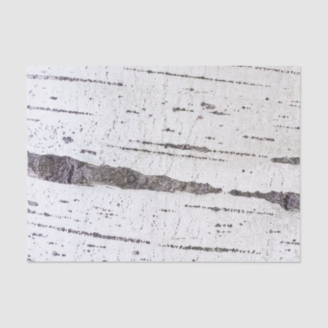 Papier Mousseline Motif d'écorce de bouleau (Recto)