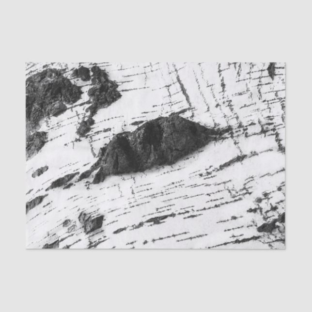 Papier Mousseline Motif d'écorce de bouleau (Recto)