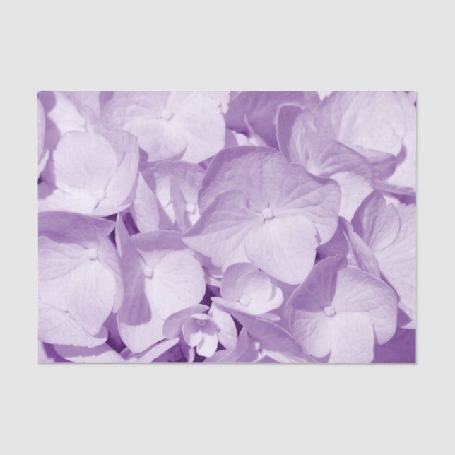Papier Mousseline Motif Lavender Hydrangea (Recto)