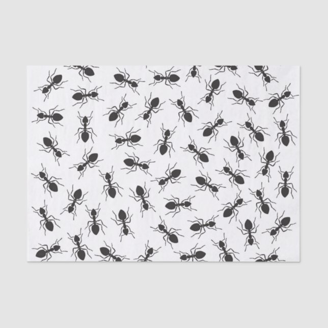 Papier Mousseline Motif noir drôle de fourmis (Recto)