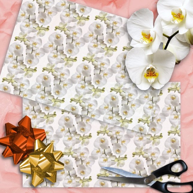Papier Mousseline Motif Orchidées Blanches (Créateur téléchargé)