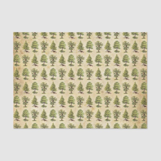 Papier Mousseline Motif vintage d'arbres de vacances (Recto)