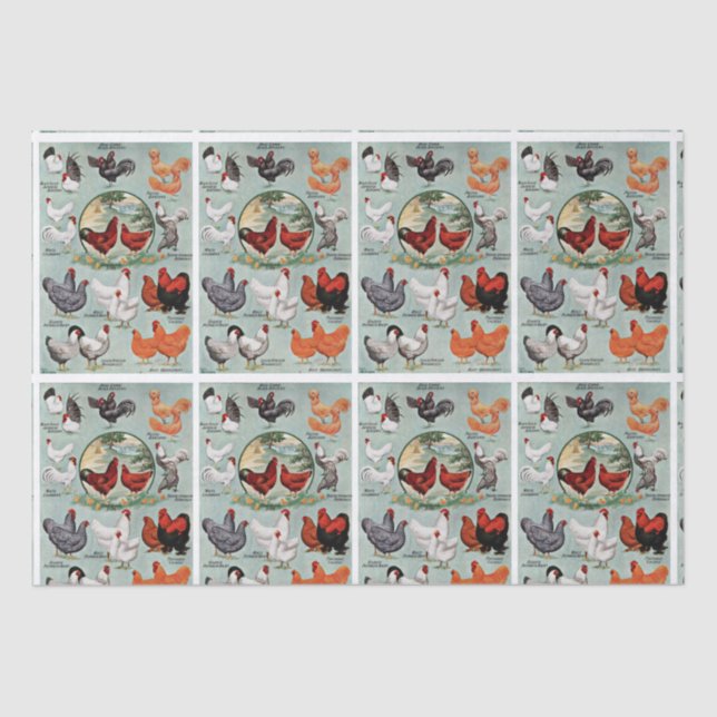 Papier Mousseline Motif vintage des races de poulet  (Recto)