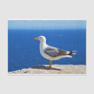 Papier Mousseline Mouette à la plage