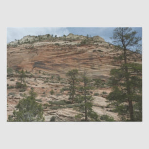 Papier Mousseline Murs de roche usés dans le parc national de Zion