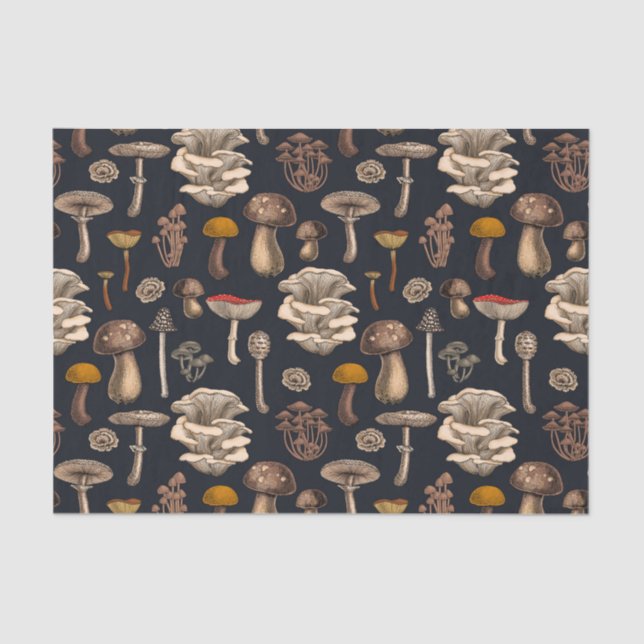 Papier Mousseline Mushrooms sauvages (Recto)