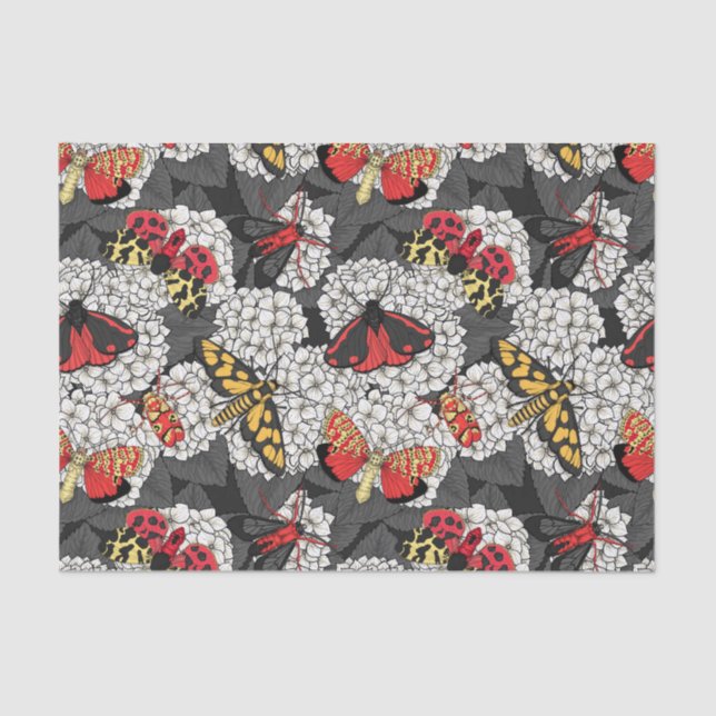 Papier Mousseline Nappes phréatiques sur hydrangée blanche (Recto)