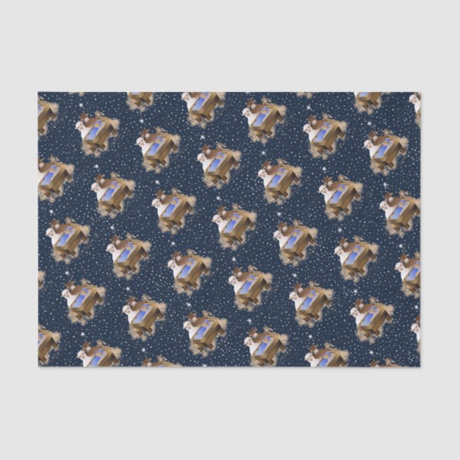 Papier Mousseline Nativité de Noël Bébé Jésus (Recto)