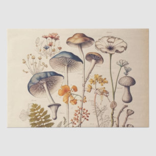 Papier Mousseline Naturaliste de champignons vintages