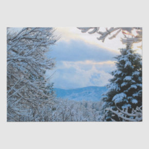 Papier Mousseline Neige sur pins dans les montagnes rocheuses du Col