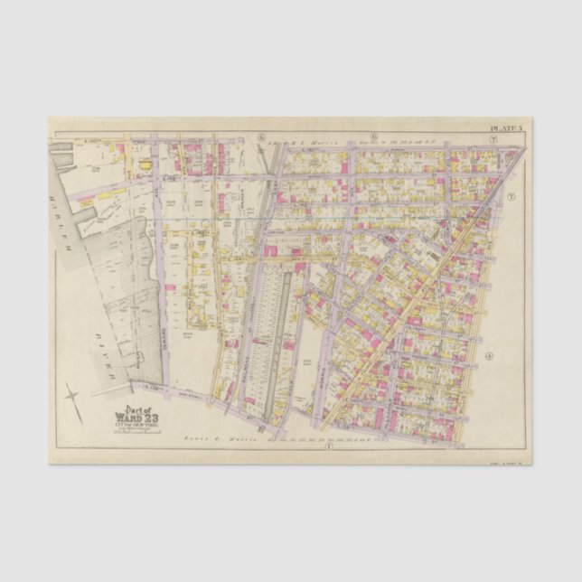 Papier Mousseline New York 32 (Recto)