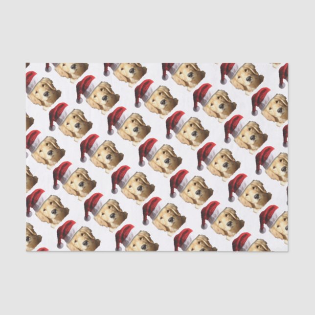 PAPIER MOUSSELINE NICKEL-WITH-A-HAT-3 (Recto)