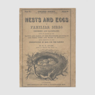 Papier Mousseline Nids et oeufs d'oiseaux familiers
