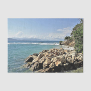 Papier Mousseline No. 2 de paysage marin de Labadie