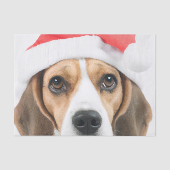 Papier Mousseline Noël beagle (Recto)