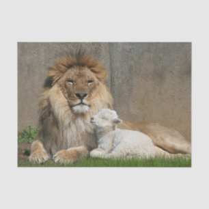 Papier Mousseline Noël de lion et d'agneau