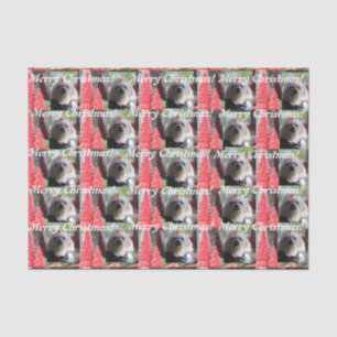 Papier Mousseline Noël maltais avec Arbres rouges