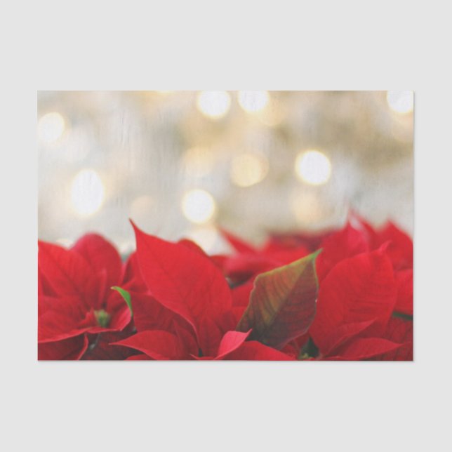 Papier Mousseline Noël Poinsettia (Recto)