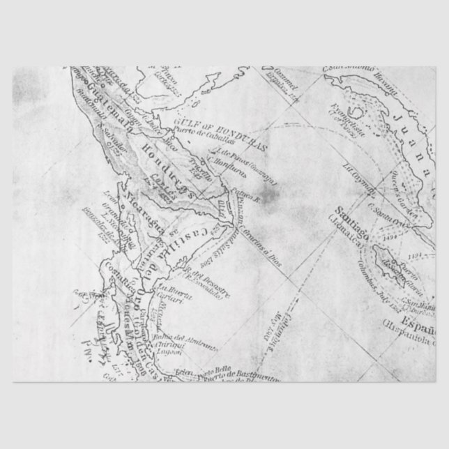 Papier Mousseline Noir et blanc Design de la série de cartes numériq (Recto)