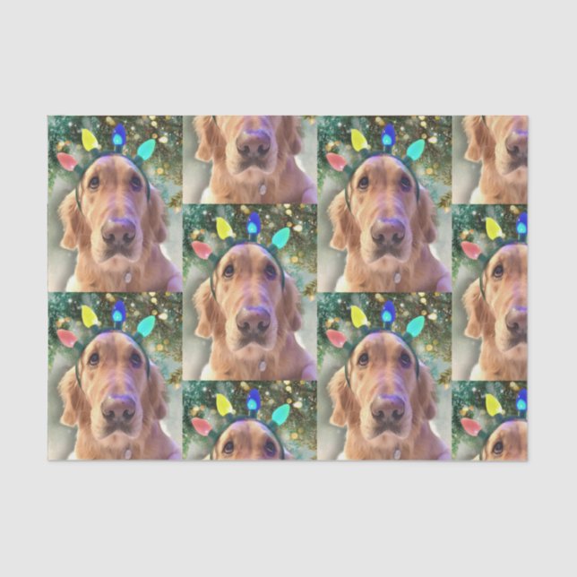 Papier Mousseline Nova the Golden Retriever Christmas Tissue Paper (Recto)