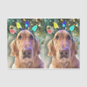 Papier Mousseline Nova the Golden Retriever Christmas Tissue Paper