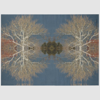 Papier Mousseline nuages d'arbre noir ciel photo originale