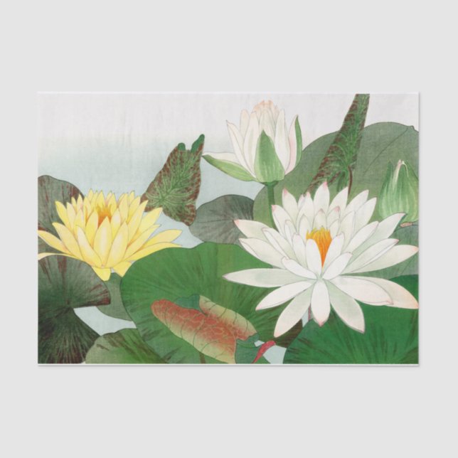 Papier Mousseline Nymphaea lotus, Découpage (Recto)