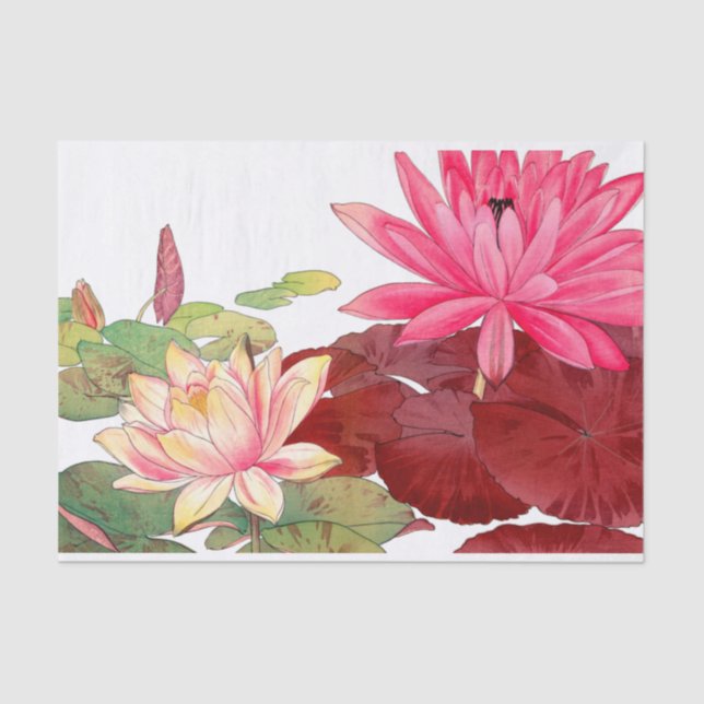 Papier Mousseline Nymphaea lotus, Découpage (Recto)