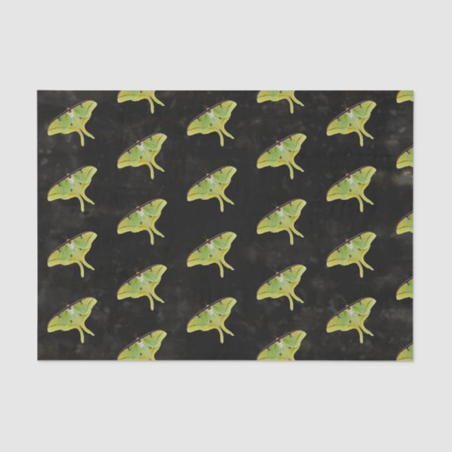 Papier Mousseline Oeuvre de Luna Moth en couleur vive (Recto)