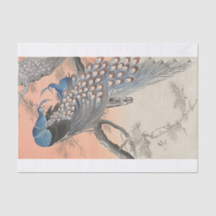 Papier Mousseline Ohara Koson   Deux paons sur la branche de l'arbre