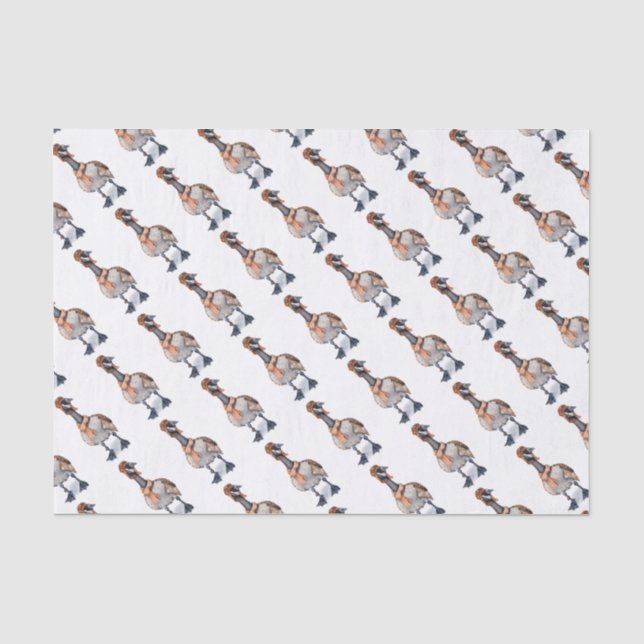 Papier Mousseline Oie d'avion (Recto)