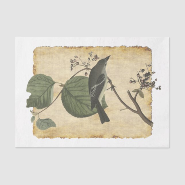 Papier Mousseline Oiseau 33 Papier Tissu De Découpage (Recto)