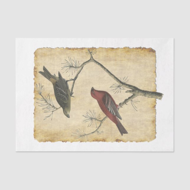 Papier Mousseline Oiseau 34 Papier Tissu De Découpage (Recto)