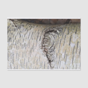 Papier Mousseline Oiseau blanc