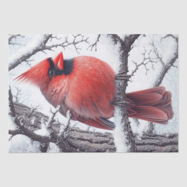Papier Mousseline Oiseau cardinal rouge d'hiver (Recto)