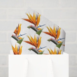 Papier Mousseline Oiseau orange du Paradis Plante motif floral
