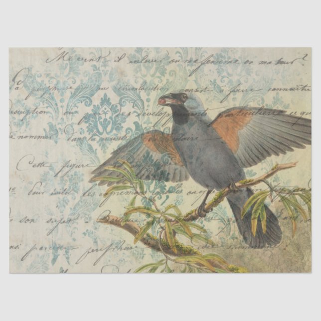 Papier Mousseline Oiseau Vintage en succursale avec décodage (Recto)