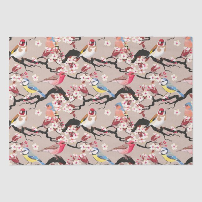 Papier Mousseline Oiseaux (Recto)