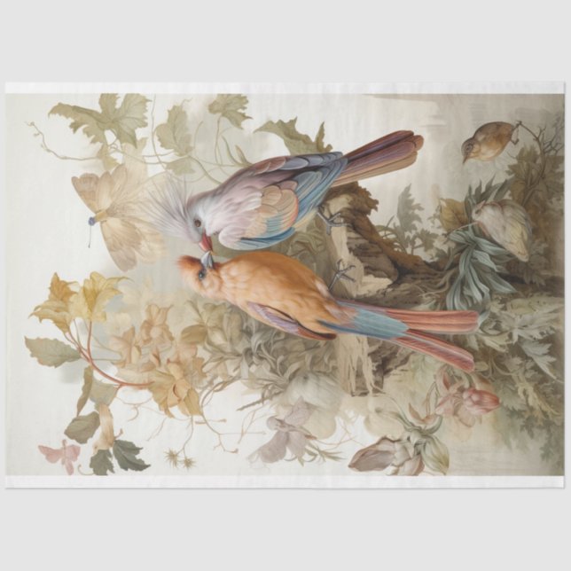 Papier Mousseline Oiseaux aux plumes longues (Recto)