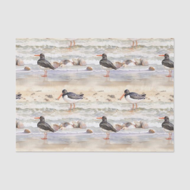 Papier Mousseline Oiseaux de Plage Côtiers (Recto)