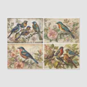 Papier Mousseline Oiseaux de printemps