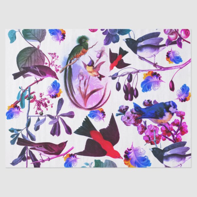 Papier Mousseline OISEAUX DE PRINTEMPS, PLUMES, FRUITS Bleu rose Flo (Recto)