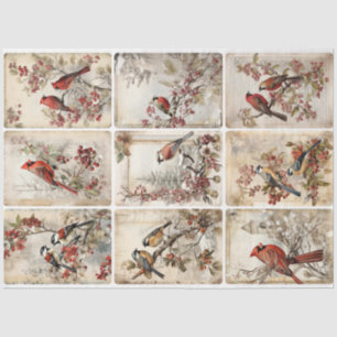 Papier Mousseline Oiseaux d'hiver neuf