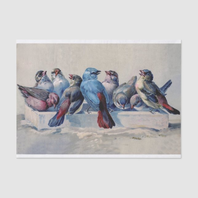 Papier Mousseline Oiseaux doux avec plumes bleues et rouges aquarell (Recto)