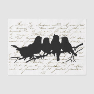 Papier Mousseline Oiseaux en Branche Découpage en silhouette noire F