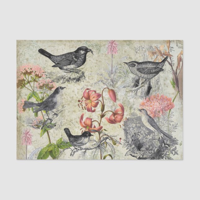 Papier Mousseline Oiseaux et fleurs de style victorien (Recto)