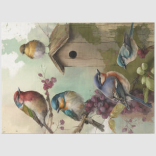 Papier Mousseline Oiseaux et Fleurs Série de dessins éphémères #11